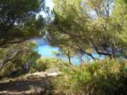 Baleares_Majorque_2013-117