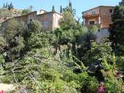 Baleares_Majorque_2013-137