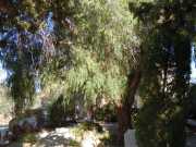 Baleares_Majorque_2013-143