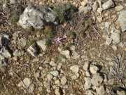 Baleares_Majorque_2013-186