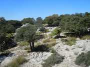 Baleares_Majorque_2013-190
