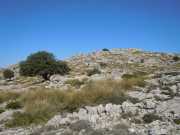 Baleares_Majorque_2013-192