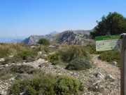 Baleares_Majorque_2013-194