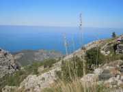 Baleares_Majorque_2013-200