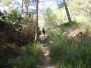 Baleares_Majorque_2013-49