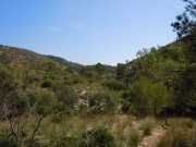 Baleares_Majorque_2013-52