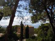 Baleares_Majorque_2013-54