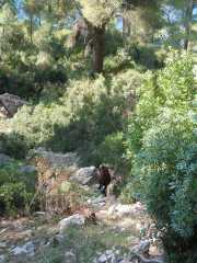 Baleares_Majorque_2013-57