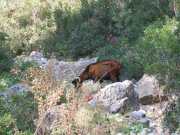 Baleares_Majorque_2013-58