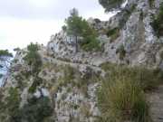 Baleares_Majorque_2013-68