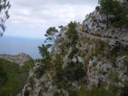 Baleares_Majorque_2013-69