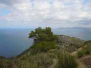 Baleares_Majorque_2013-74