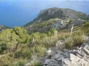Baleares_Majorque_2013-80