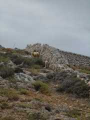 Baleares_Minorque_2013-38