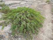 Baleares_Minorque_2013-63