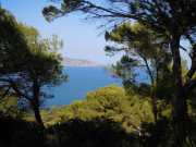 ALCUDIA1_13_09-18