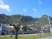 DSCN1576