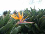 DSCN1596