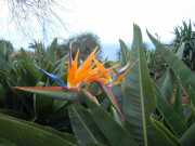 DSCN1597