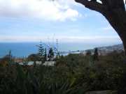 DSCN1598