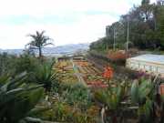 DSCN1600