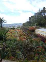 DSCN1601