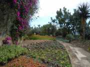 DSCN1603