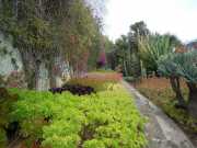 DSCN1604