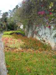 DSCN1605
