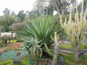 DSCN1607