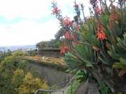 DSCN1610