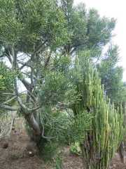 DSCN1611