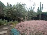 DSCN1613