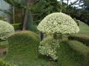 DSCN1620