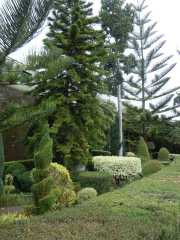 DSCN1622