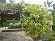 DSCN1624