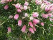 DSCN1626