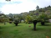 DSCN1629