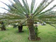 DSCN1631