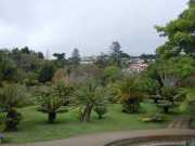 DSCN1633