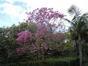 DSCN1634