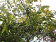 DSCN1635