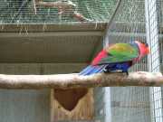 DSCN1636