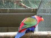 DSCN1639
