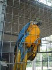 DSCN1640
