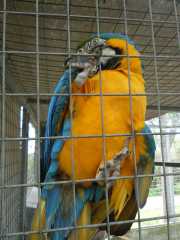 DSCN1641