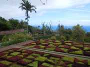 DSCN1647