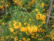 DSCN1651