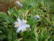 DSCN1655