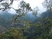 DSCN1696